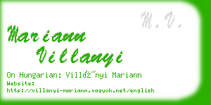 mariann villanyi business card